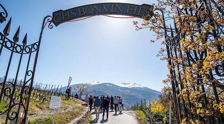 Tour des Guérites Clos du Château