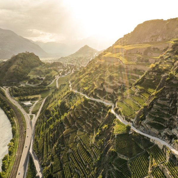 Clavau vineyard in Sion