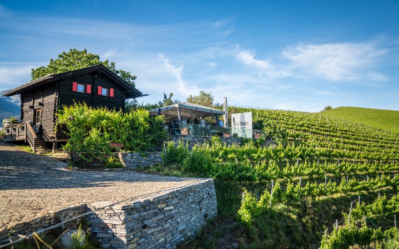 evenement_vins_valais Vignoble de Fendant en Valais